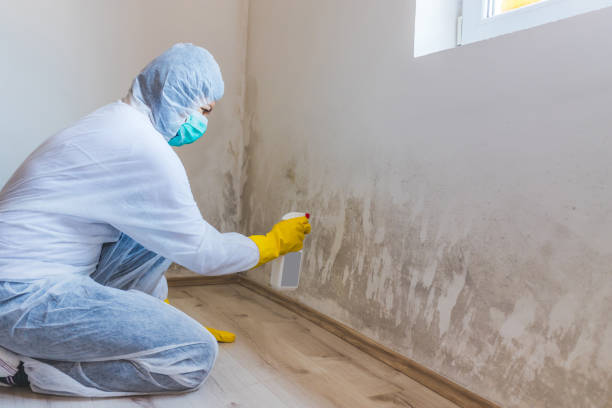 Licensed Mold Removal service in Sunbury, NC - WQB Mold Removal