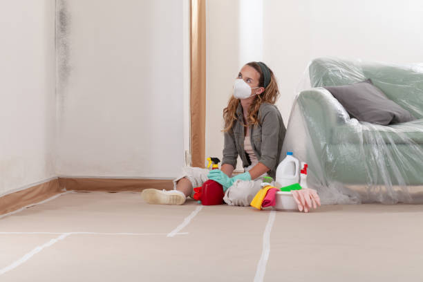 Reliable Mold Removal contractor in Sunbury, NC by WQB Mold Removal